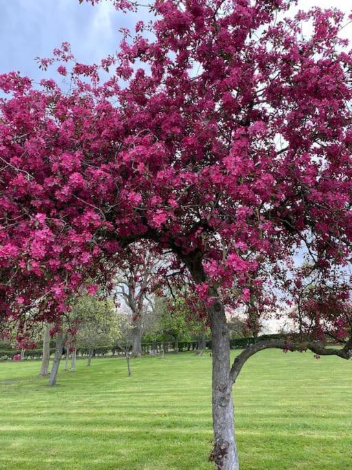 South Cottage - Garden, Views, Parking, Dogs, Cheshire, Walks, Family Adlington 外观 照片