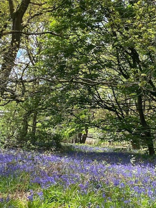 South Cottage - Garden, Views, Parking, Dogs, Cheshire, Walks, Family Adlington 外观 照片